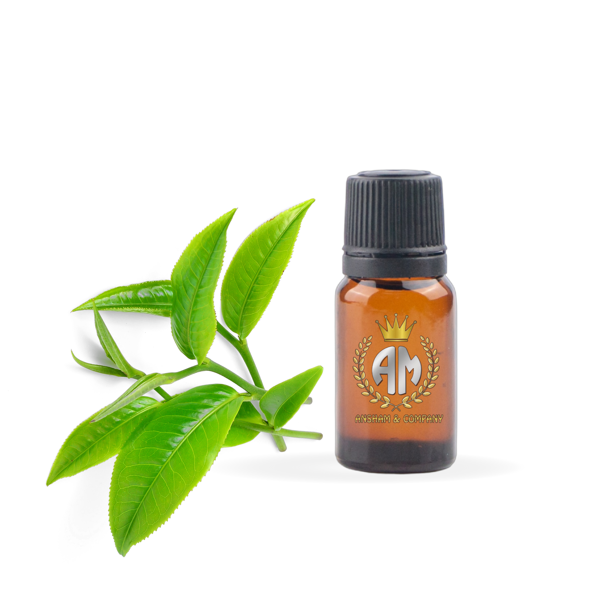 tea-tree-oil-for-skin-benefits-uses-tea-tree-oil-benefits-tea