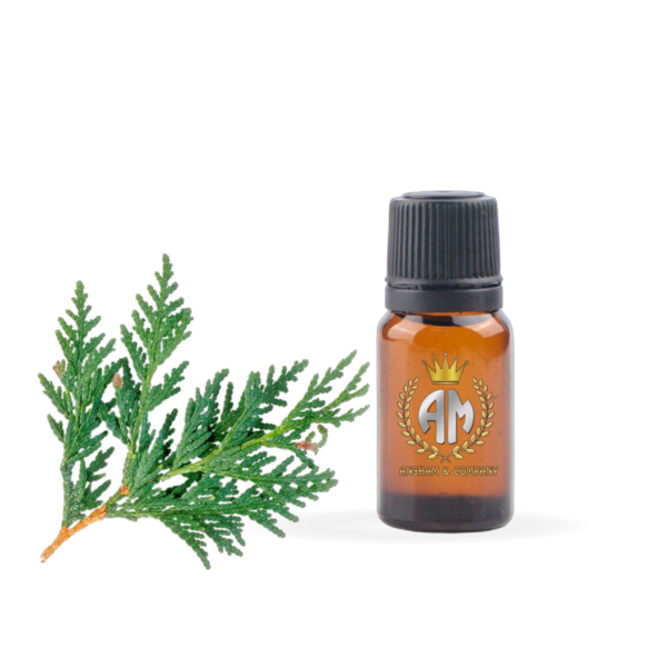Cedar Wood